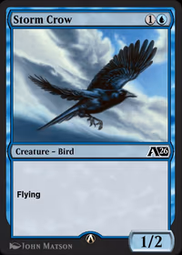Storm Crow