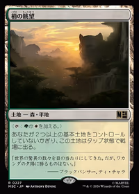 Canopy Vista