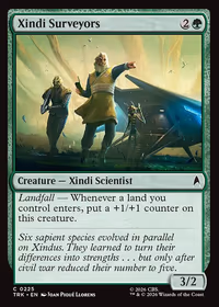 Xindi Surveyors
