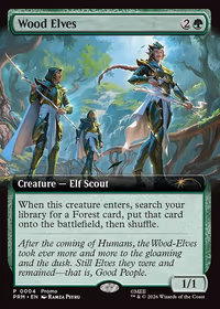 Wood Elves — Wizards Play Network 2026 #16