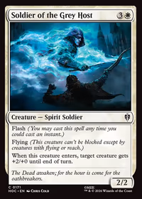 Soldier of the Grey Host