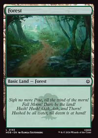 Forest