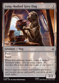 Long-Bodied Grey Dog